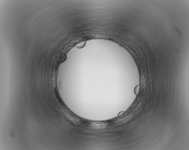 X0000115690234200911121014