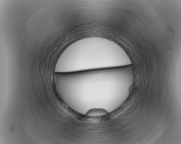 X0000115690236200911121014