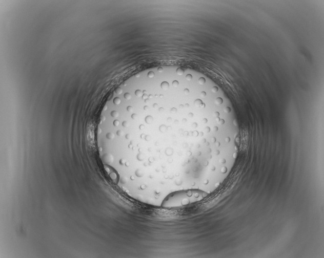 X0000115690238200911121014