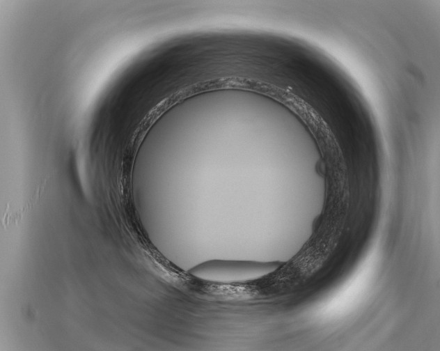 X0000115690239200911121014