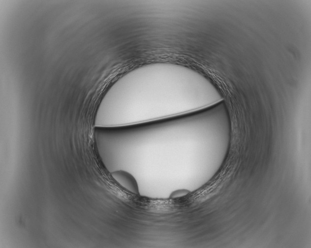 X0000115690240200911121014