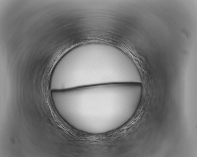 X0000115690241200911121014