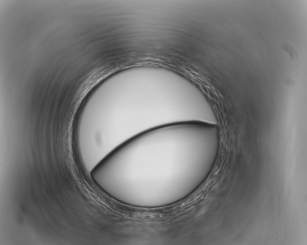 X0000115690242200911121014