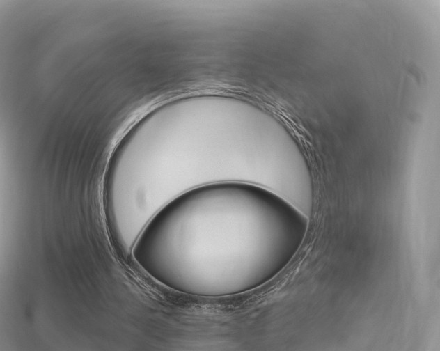 X0000115690244200911121014