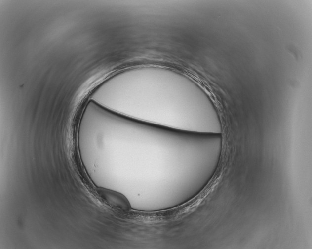 X0000115690245200911121014