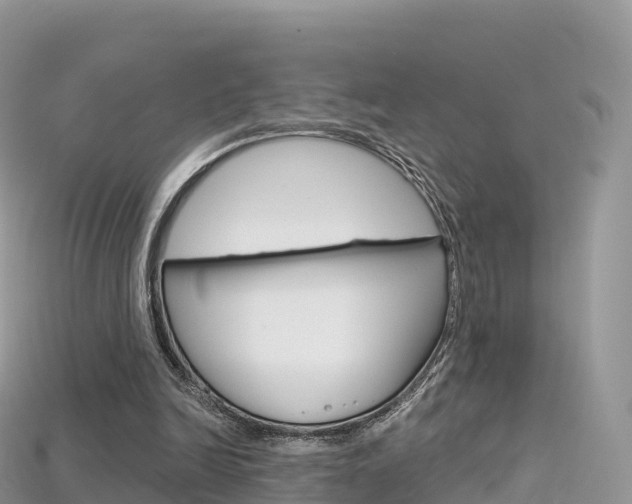 X0000115690246200911121014