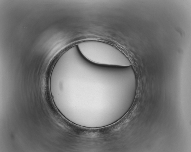 X0000115690247200911121014