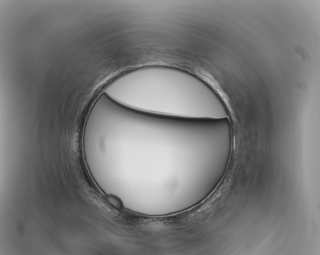 X0000115690249200911121014
