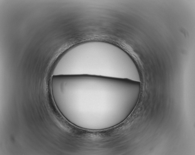 X0000115690250200911121014