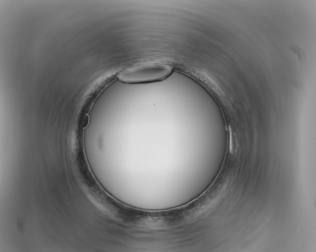 X0000115690252200911121014
