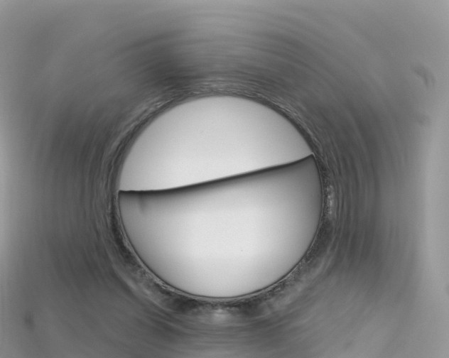 X0000115690254200911121014