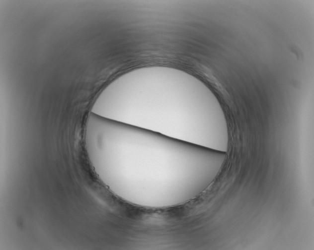 X0000115690259200911121014