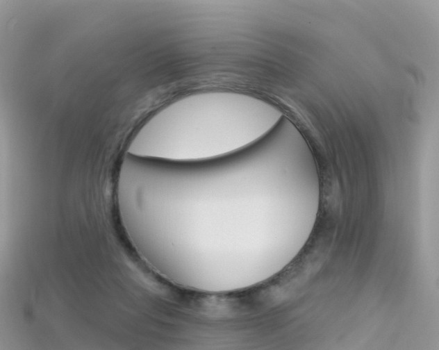 X0000115690261200911121014