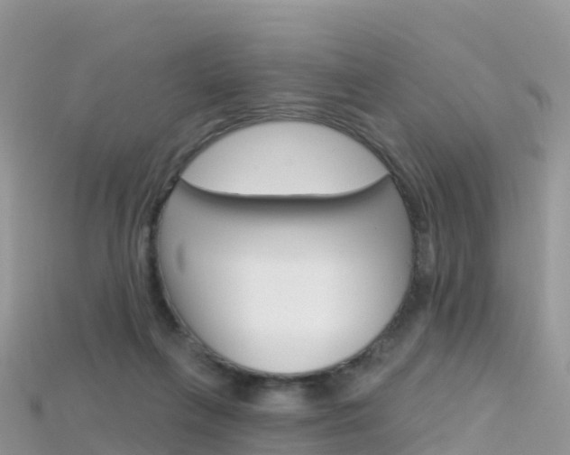 X0000115690263200911121014