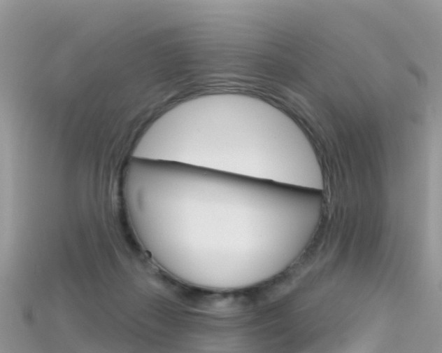X0000115690267200911121014