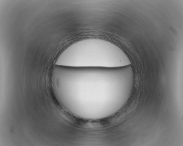 X0000115690270200911121014