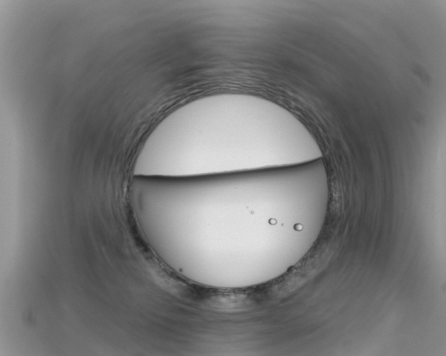 X0000115690278200911121014