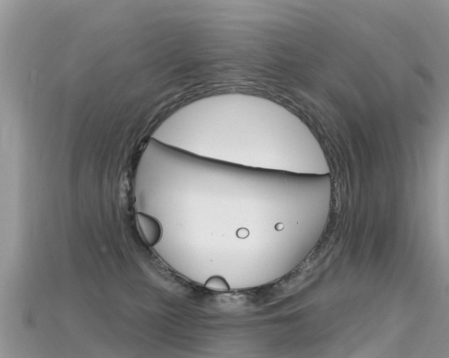 X0000115690279200911121014