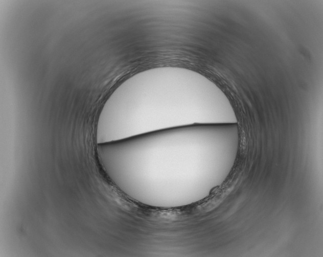 X0000115690282200911121014