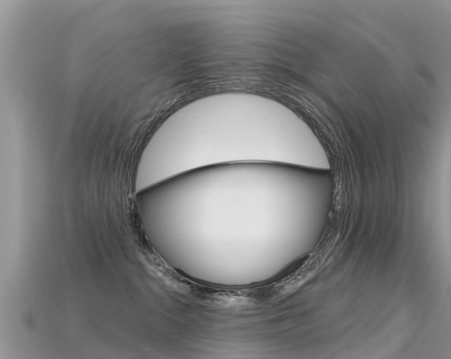 X0000115690284200911121014