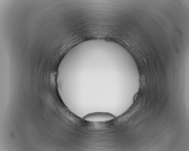 X0000115690286200911121014