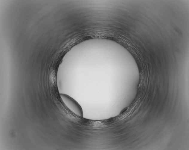 X0000115690287200911121014