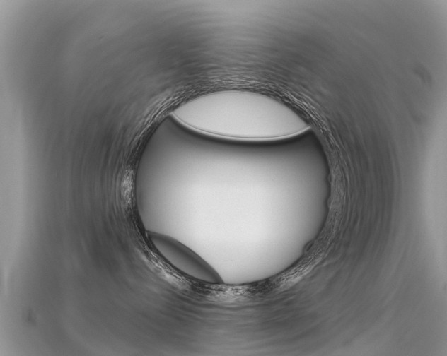 X0000115690288200911121014
