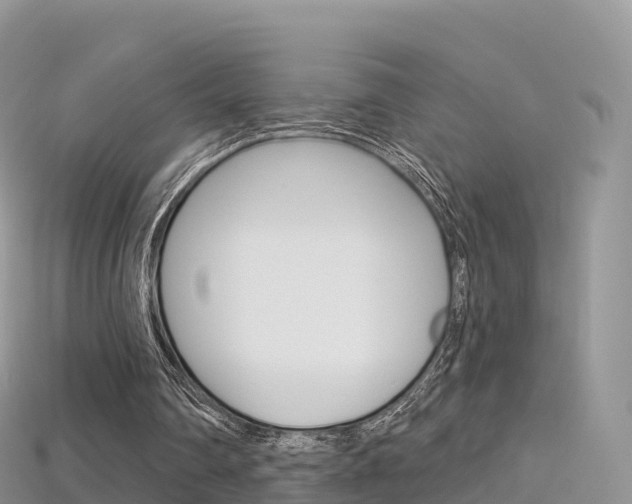X0000115690290200911121014