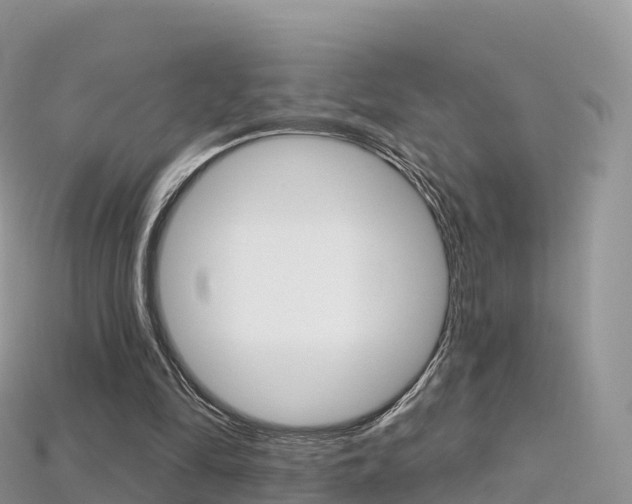 X0000115690294200911121014
