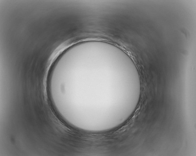 X0000115690296200911121013