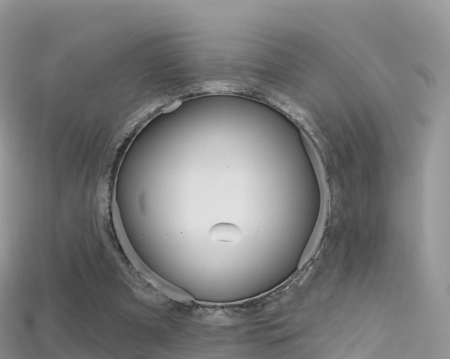X0000115690297200911121013