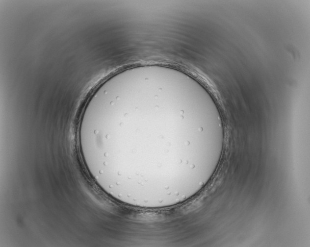 X0000115690298200911121013