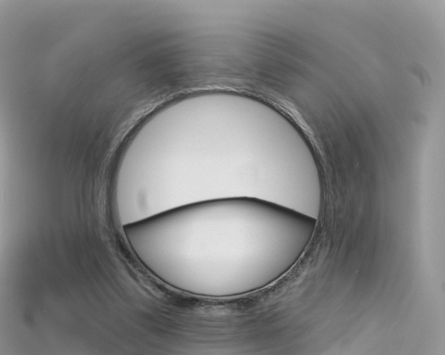 X0000115690299200911121013