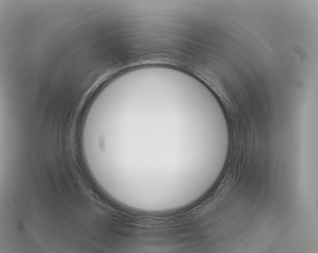 X0000115690300200911121013