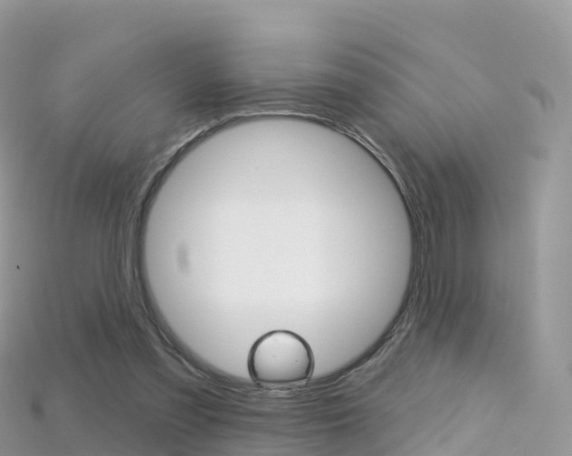X0000115690301200911121013