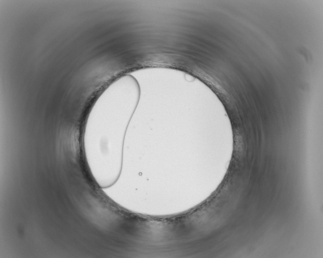 X0000115690302200911121013