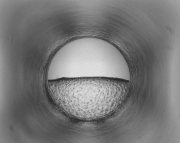 X0000115690303200911121013