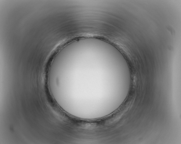 X0000115690304200911121013