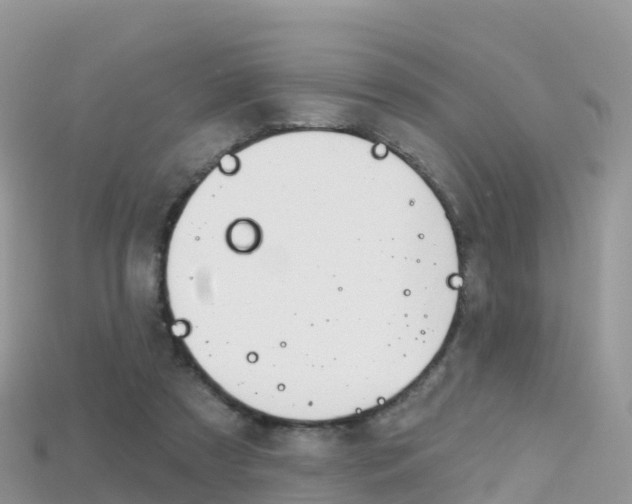 X0000115690305200911121013