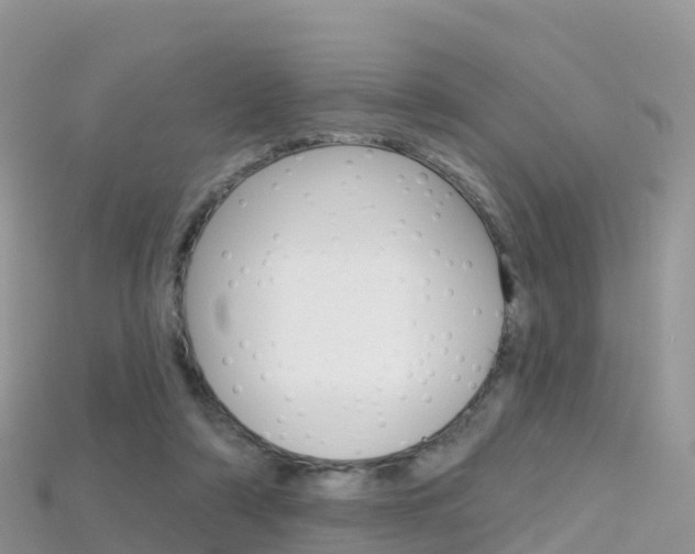 X0000115690306200911121013