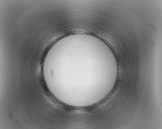 X0000115690310200911121013