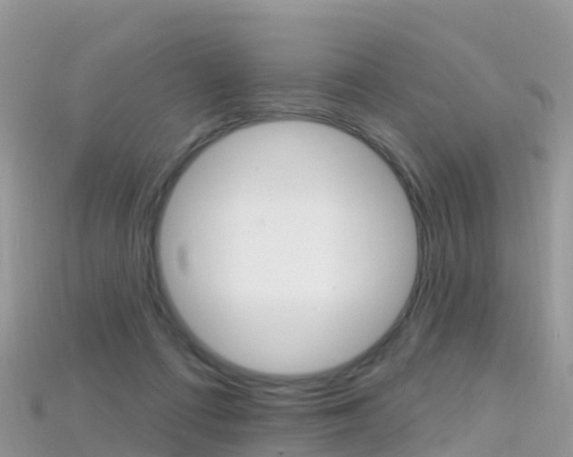 X0000115690312200911121013
