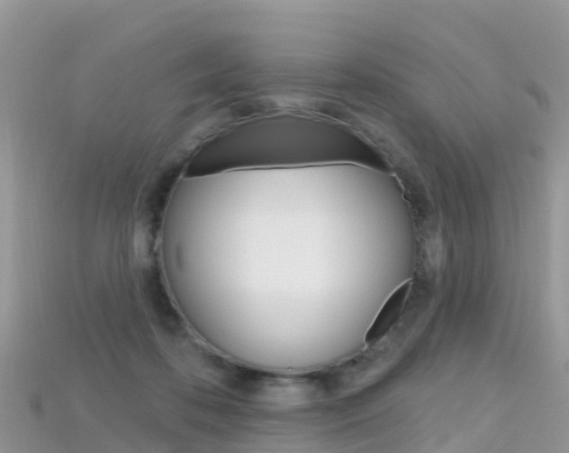 X0000115690316200911121013