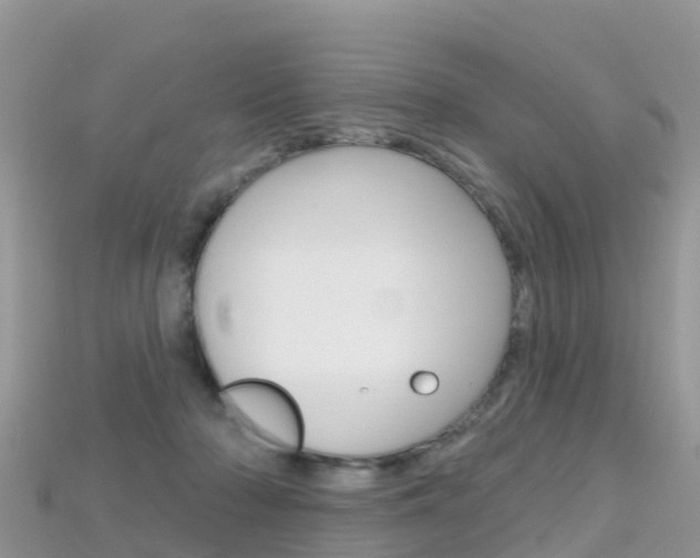 X0000115690318200911121013
