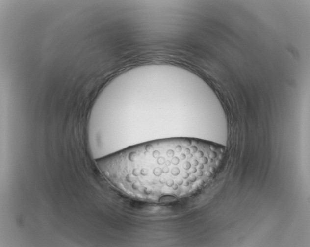 X0000115690319200911121013
