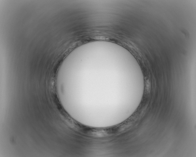 X0000115690322200911121013