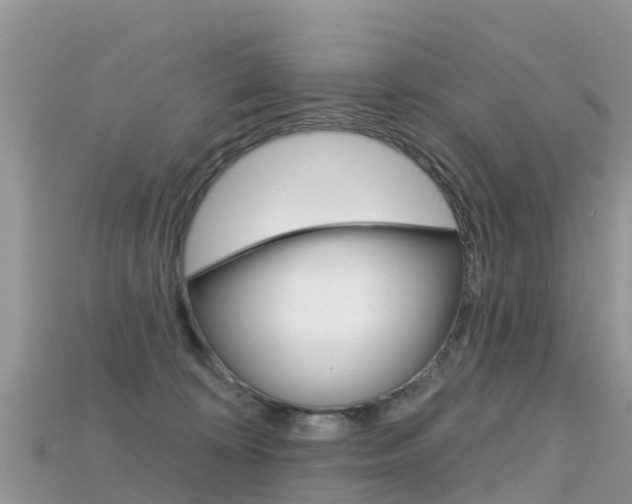 X0000115690324200911121013