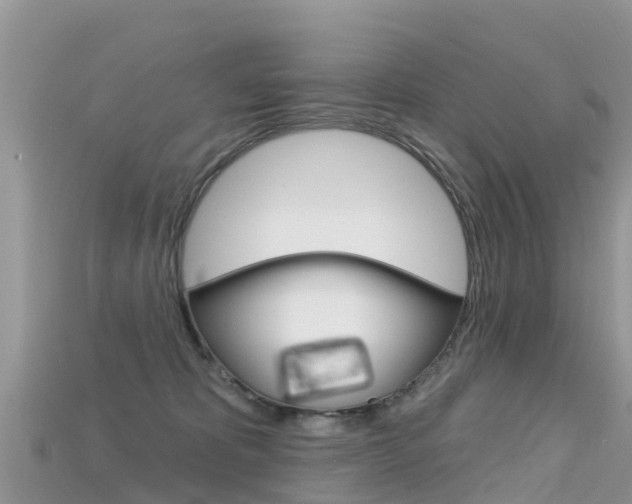 X0000115690325200911121013