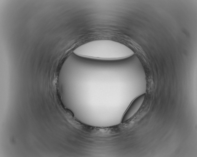 X0000115690329200911121013