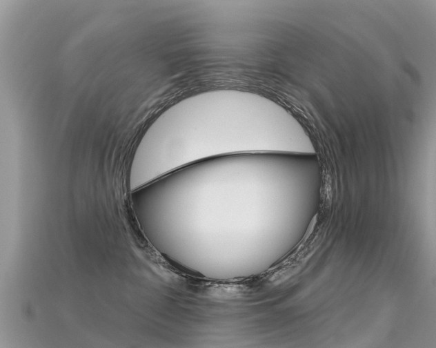 X0000115690332200911121013